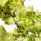 18" Jujube Floral & Foliage Spring Artificial Wreath